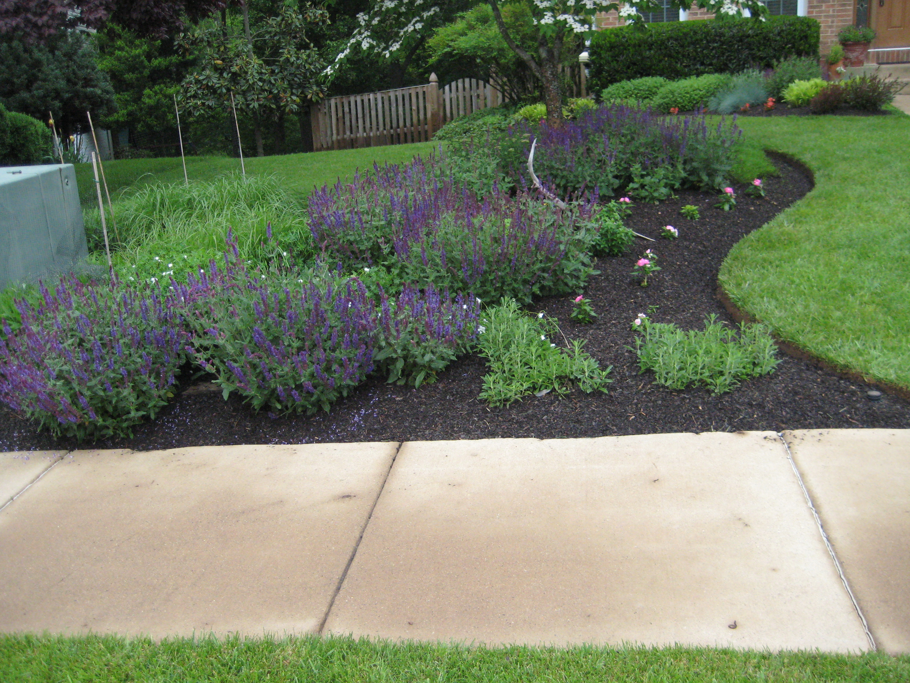Flower bed mulched